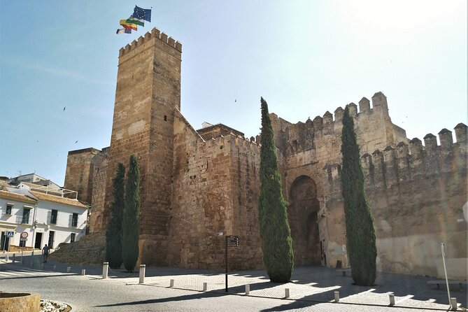 Private trip to Carmona from Seville: 5000 years of history - Plaza San Fernando: lunch time in Carmona’s historic center