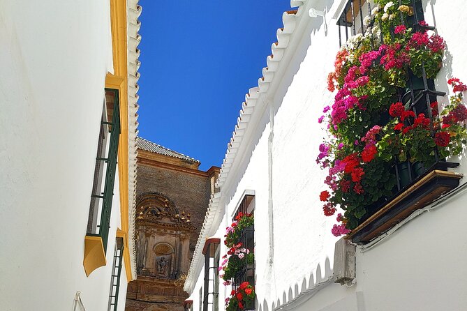Private trip to Carmona from Seville: 5000 years of history - The real value: private guide pace and ticket-smooth planning