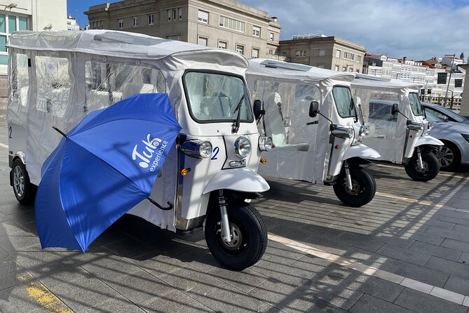 Private VIP Tour in Tuk Tuk Cadiz - Park Genoves to La Viña: When the Tour Slows Even More