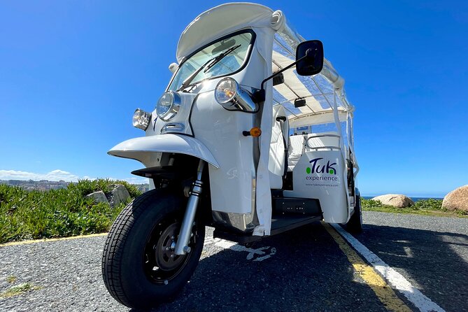 Private VIP Tour in Tuk Tuk Cadiz - Torre Tavira, the Cathedral Dome, and the Roman Theatre, Outside Only