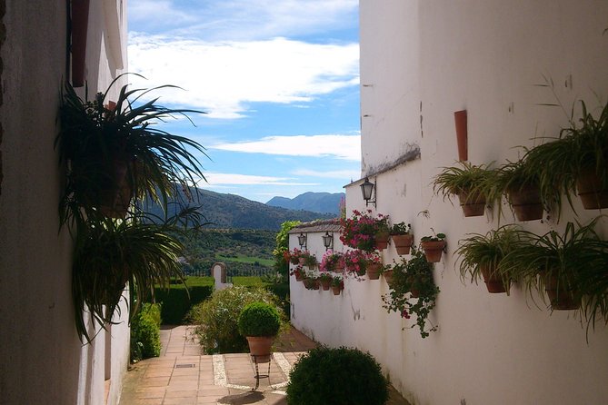 Private White Villages & Ronda Day Tour from Seville - A 10-hour private day that actually feels personal