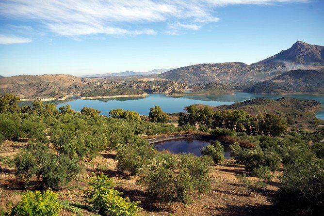 Private White Villages & Ronda Day Tour from Seville - Grazalema mirador time, Sierra views, and vulture country context