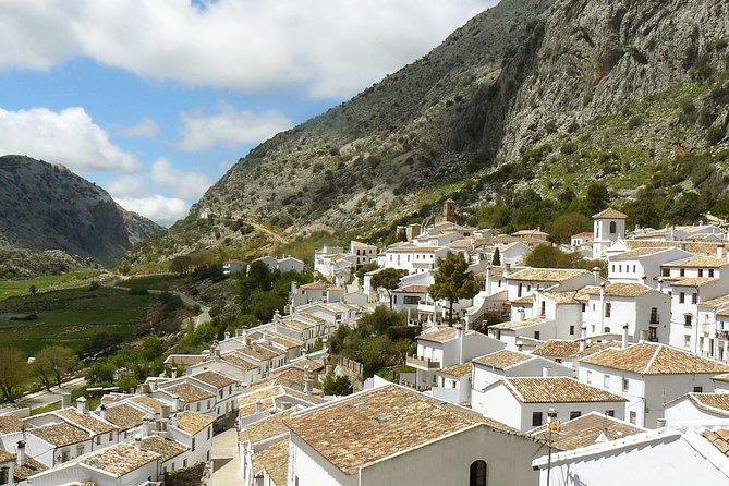 Private White Villages & Ronda Day Tour from Seville - Price and logistics, what you really pay for