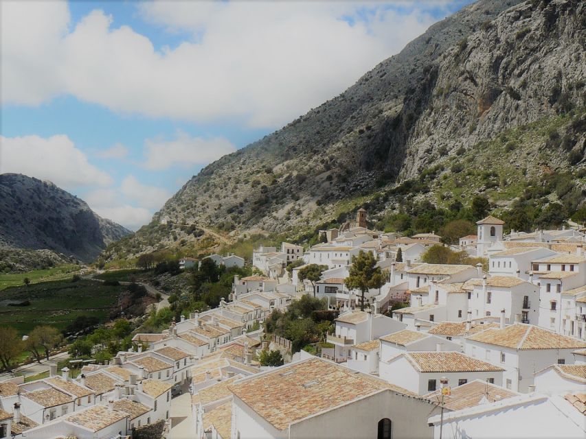 Pueblos Blancos & Ronda: Private Full-Day Tour from Seville - Key Points You Should Know Before You Go