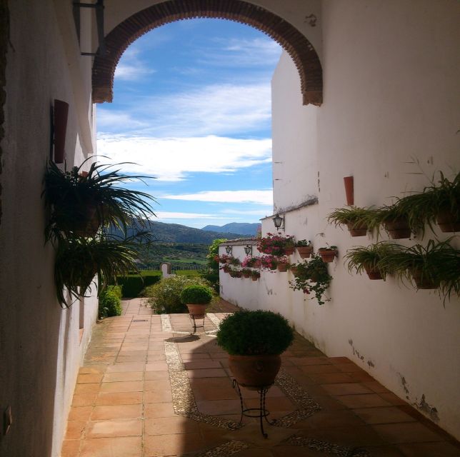 Pueblos Blancos & Ronda: Private Full-Day Tour from Seville - Price and Value for Two People: When $620 Makes Sense