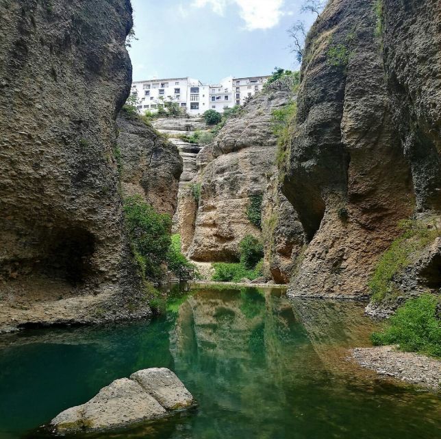 Pueblos Blancos & Ronda: Private Full-Day Tour from Seville - Grazalema in the Sierra de Grazalema: Flowers, Color, and Wildlife Possibility