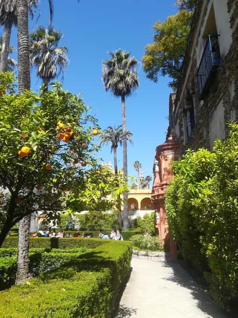 Real Alcázar of Seville Skip-the-Line Private Tour - Jardines del Alcázar Finish: Your Photo Window and a Calm Ending