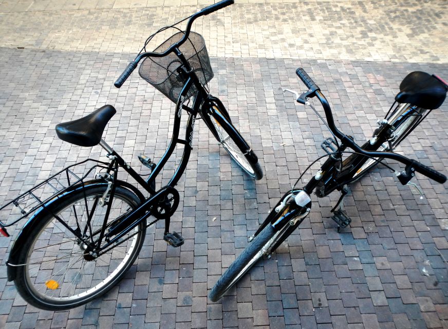 Rent a bike in Malaga - Why Málaga feels great on an urban bike