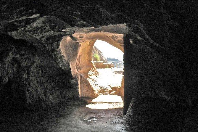 Rock art and Ronda - Cueva de la Pileta: prehistoric rock art you can actually understand