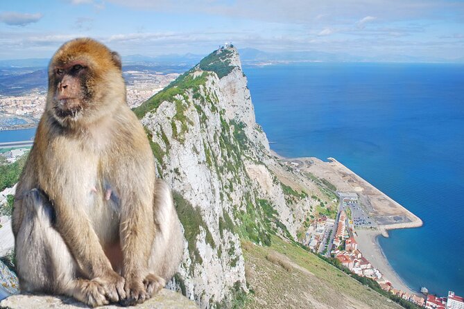 Rock Tour in Gibraltar by Bus with Tickets - Weather reality: the day depends on good conditions