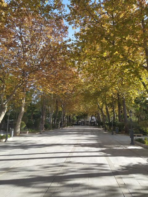 Ronda: 2-Hour Private Walking Tour - Alameda del Tajo: the park where bullfighting lore meets mountain views