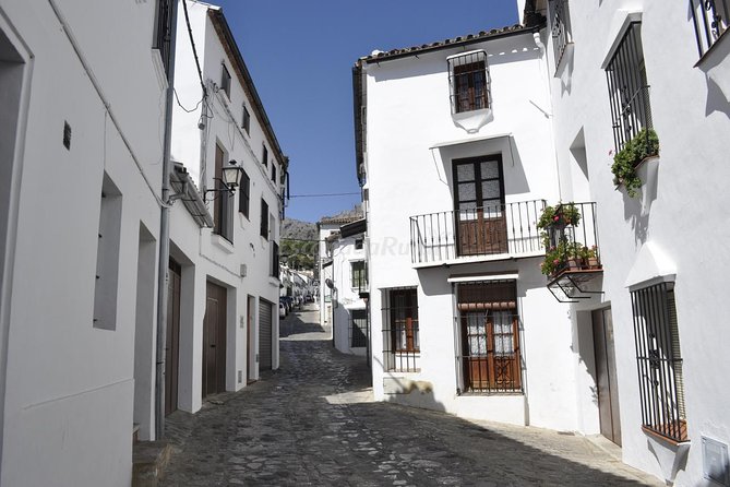Ronda and White Villages Guided Day Tour from Seville - Price and Value: What You’re Paying For at $540.69 per Person
