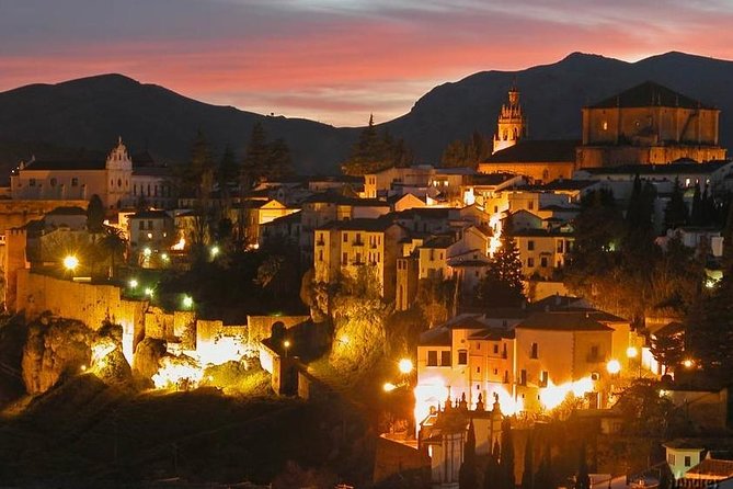 Ronda and White Villages Guided Tour from Seville - The olive oil mill stop: learning a real Andalusian craft