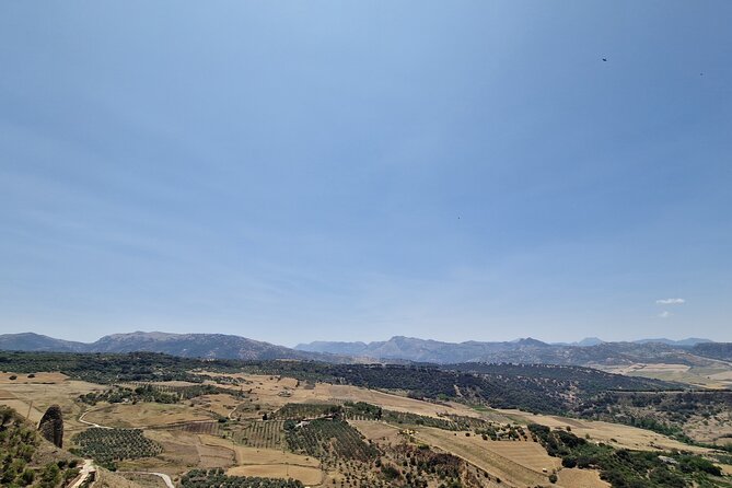 Ronda and White Villages Private Day Trip from Seville - Price and Value: What $868.20 Buys for Up to 8