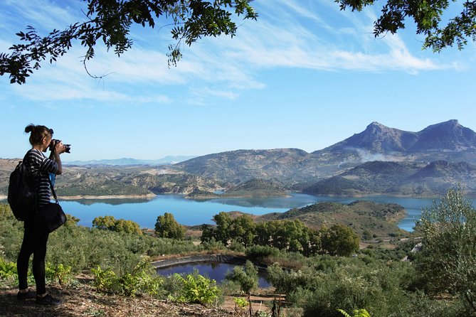 Ronda Private Tour from Seville - The Transport Rhythm: Why 8 to 10 Hours Works Here