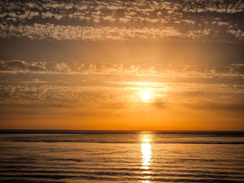 Sancti Petri: Sunset Catamaran Cruise - Reading Cadiz Bay Natural Park From the Water