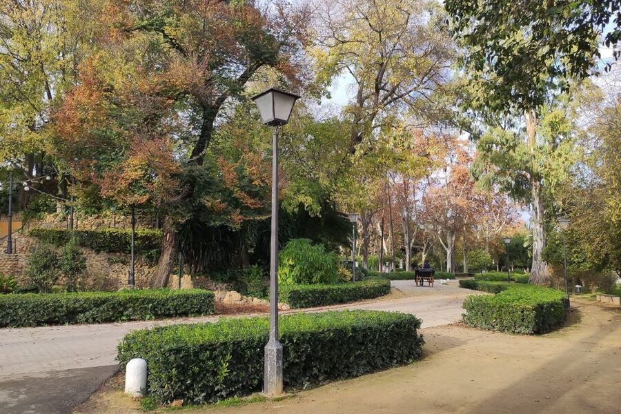 Secrets of Maria Luisa Park and Plaza de Espana - Value and pace: who should book this tour