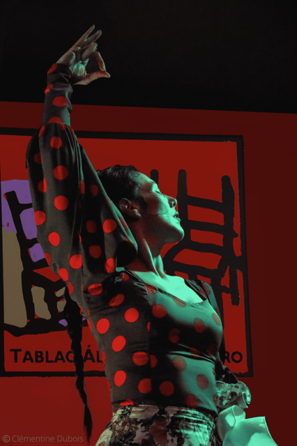 Sevilla: Flamenco Show at Tablao Álvarez Quintero - Entering an 18th-century house and finding the right viewing angle
