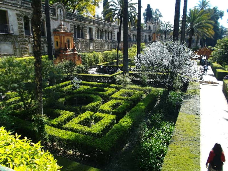 Sevilla Full-Day trip from Granada - The real draw: a Seville day that still feels intentional