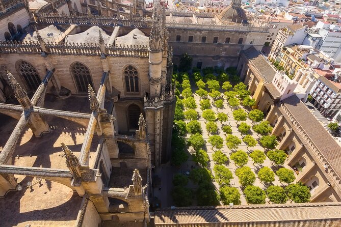 Sevilla: Guided tour to Cathedral and Giralda - Price and value: what you get for about $35