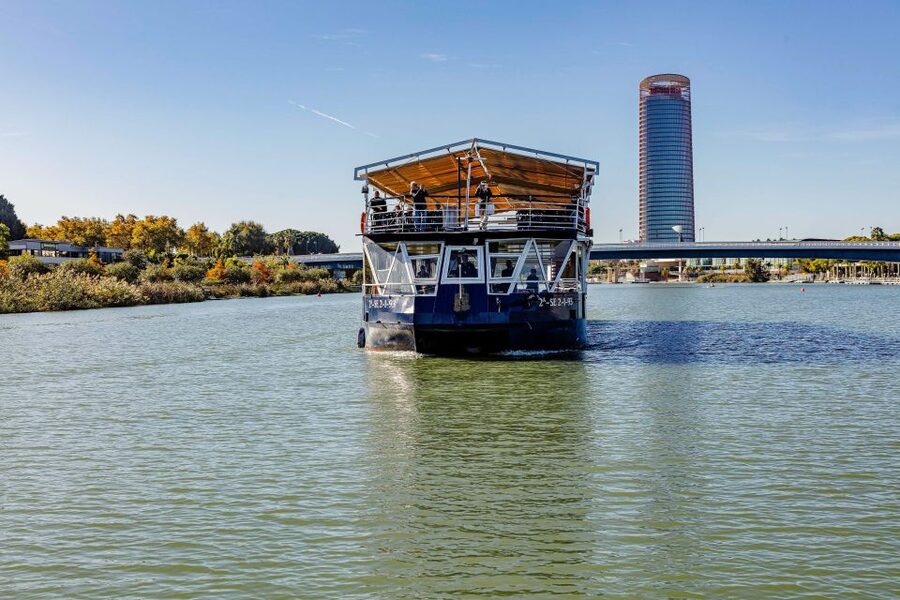 Sevilla: Hop-On Hop-Off & Walking Tours, Cruise & Flamenco - Who This Seville Experience Fits Best