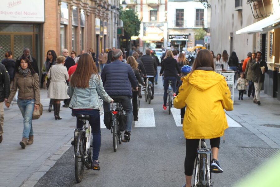Seville: 1-Day Bike Rental - Riding comfort and safety, including the one real red flag