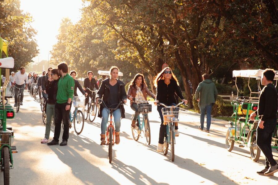 Seville: 1-Day Bike Rental - Local advice for food and drinks, the part tourists miss