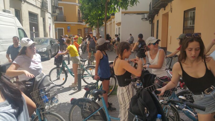 Seville: 1-Day Bike Rental - Price, value, and what you should budget for