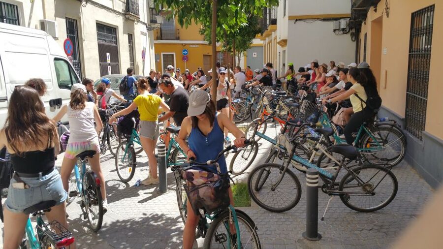 Seville: 1-Day Bike Rental - Who this Seville bike rental suits best