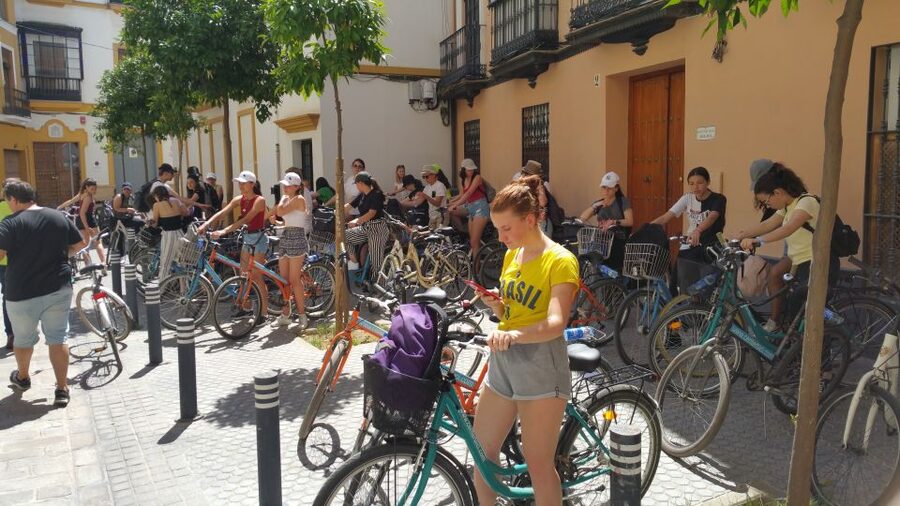 Seville: 1-Day Bike Rental - Who should skip it
