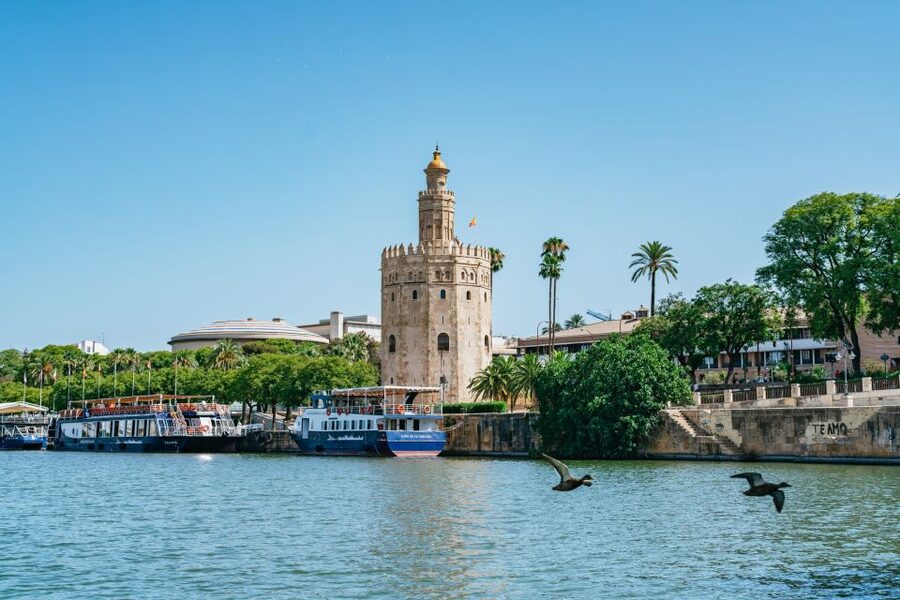 Seville: 1-Hour Guadalquivir River Sightseeing Eco Cruise - Electric Boat Calm: Why This Works on Hot Days