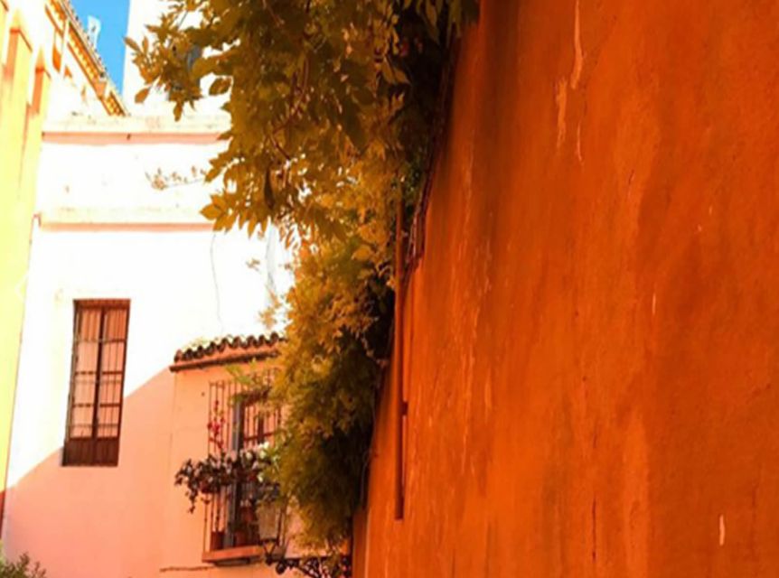 Seville: 1-Hour Walking Tour Barrio de Santa Cruz - Santa Cruz streets: what to notice as you walk