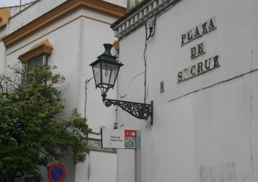 Seville: 1-Hour Walking Tour Barrio de Santa Cruz - Price and value: is $18 fair for this 1-hour Seville loop?
