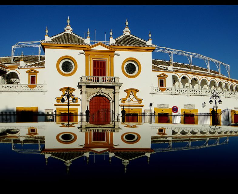 Seville 4-Hour Guided Walking Tour - Plaza Nueva to City Hall: fast context and photo-ready moments