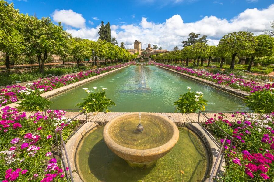 Seville: Alcázar Fast-Track Access with Guided Tour - Shared or Private Group: Choose Your Comfort Level