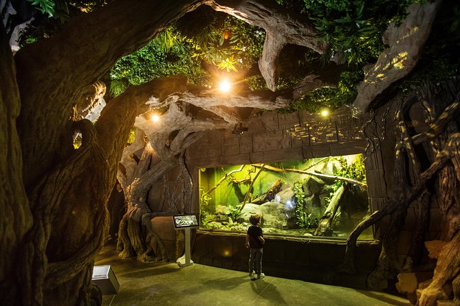 Seville Aquarium Admission Ticket - Location and getting there: near public transport, good for a heat break