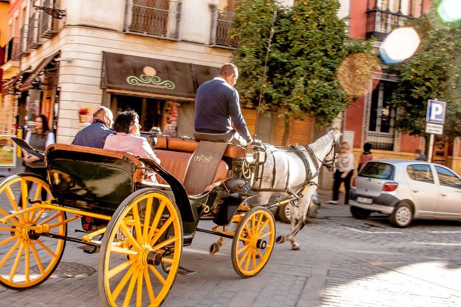 Seville: Authentic and Romantic Horse-Drawn Carriage Ride - Key things that make this Seville carriage ride memorable