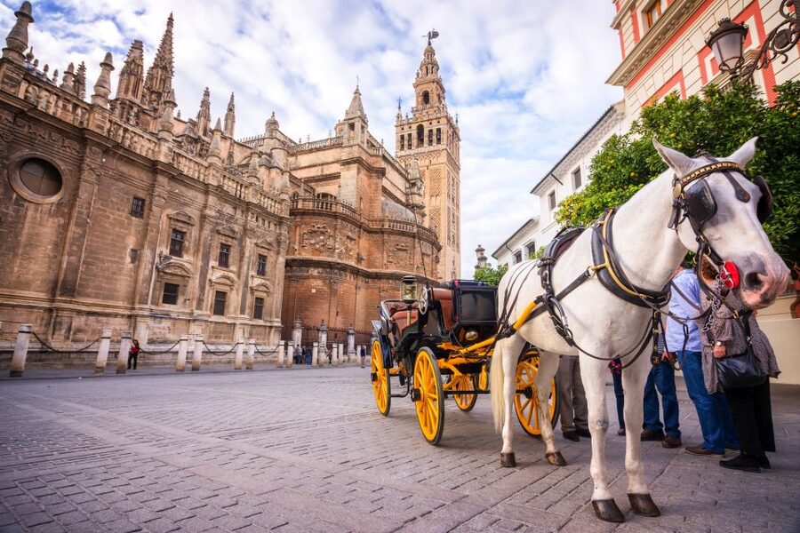 Seville: Authentic and Romantic Horse-Drawn Carriage Ride - Weather, timing, and what to bring for comfort