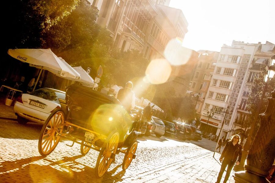 Seville: Authentic and Romantic Horse-Drawn Carriage Ride - Why a horse carriage ride feels different in Seville