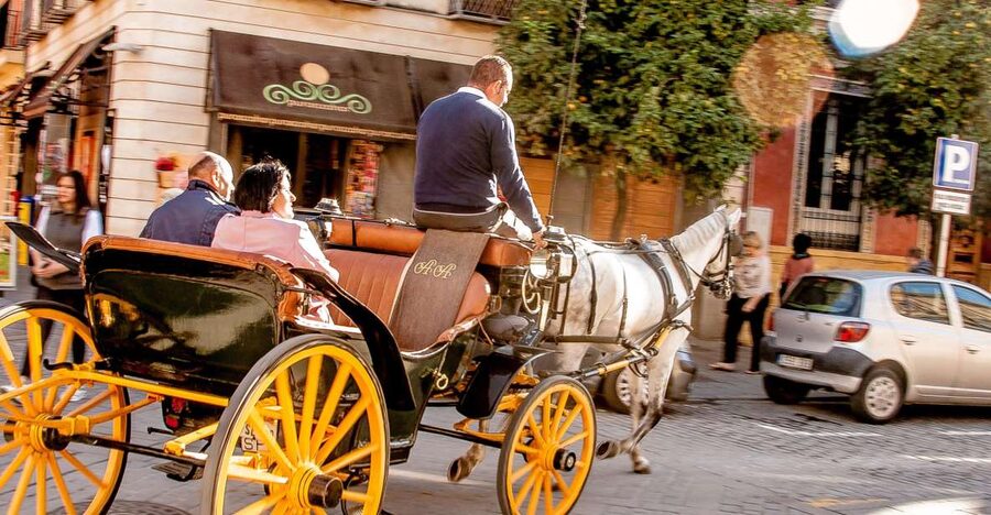 Seville: Authentic and Romantic Horse-Drawn Carriage Ride - The route: what you’ll actually see (and why it’s worth it)