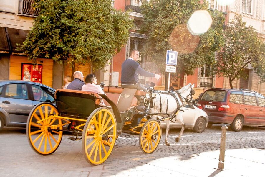 Seville: Authentic and Romantic Horse-Drawn Carriage Ride - The driver experience: commentary, names you might hear, and language reality