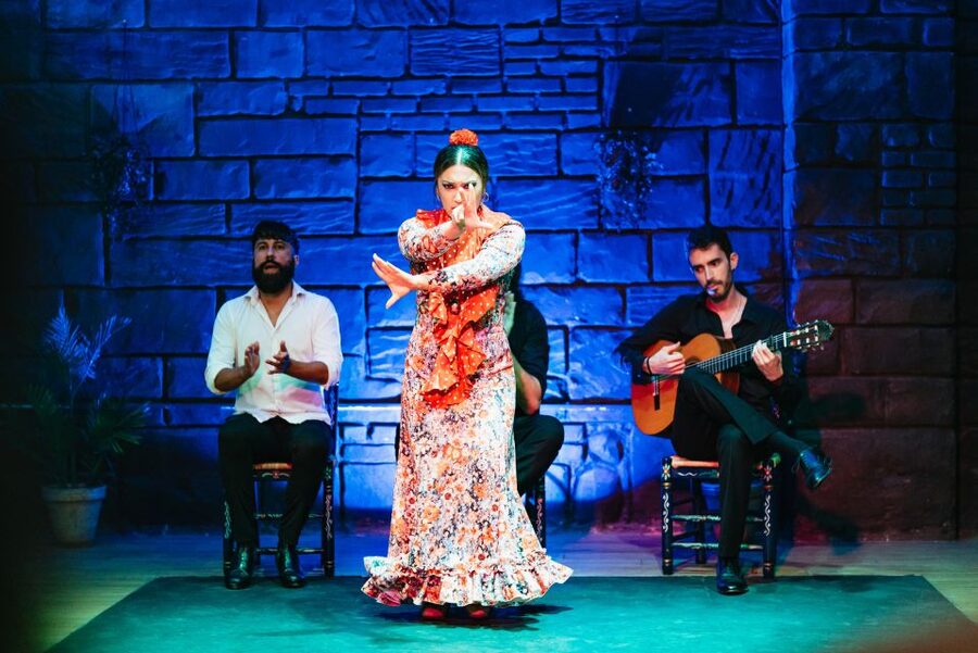 Seville: Baraka Sala Flamenca Show with Drink in Triana - Key things I think you should notice
