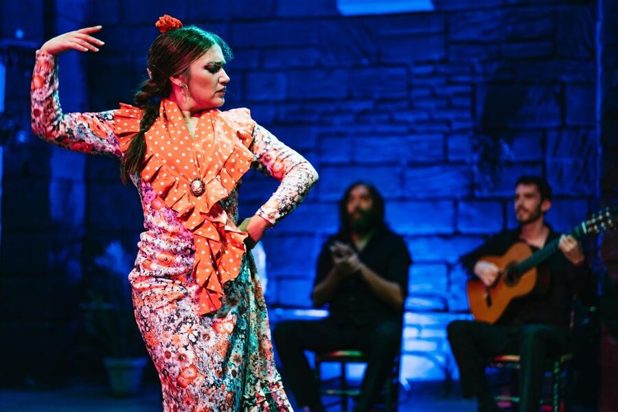 Seville: Baraka Sala Flamenca Show with Drink in Triana - Photo and video rules: what to expect during the final minutes