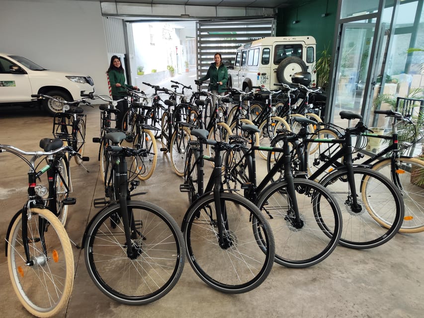 Seville: Bike Rental - Pickup and Drop-Off: Using One of Five Meeting Points
