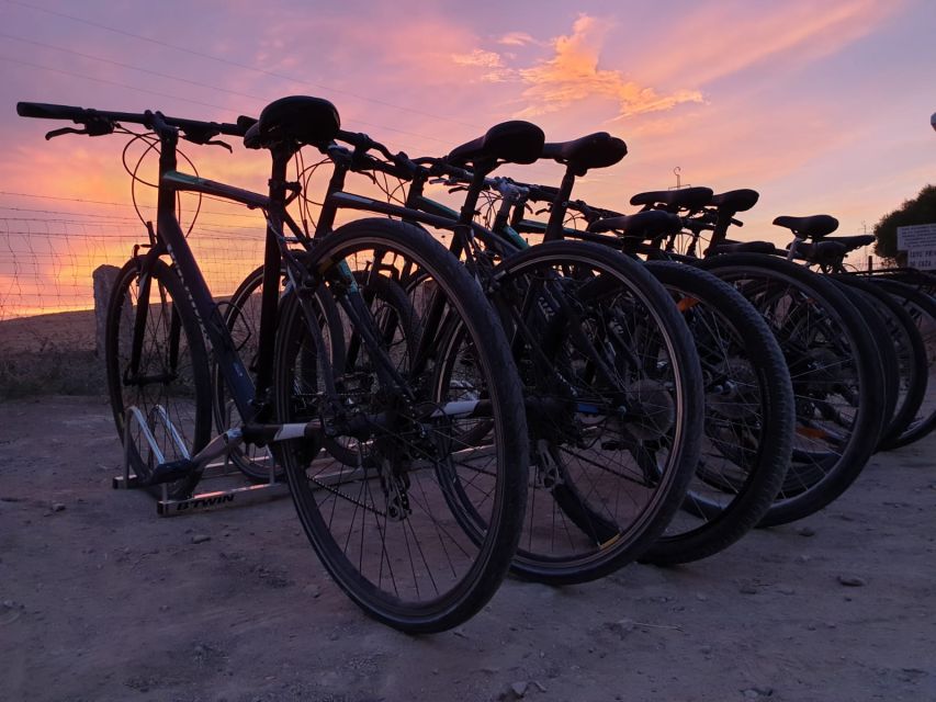 Seville: Bike Rental - City Bike vs Mountain Bike, and Why Size Matters