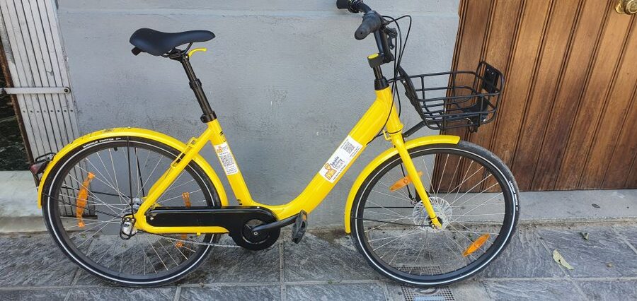 Seville: Bike Rental for a Day - Plaza de Santa Cruz Meeting Point, Then Your Day Takes Over