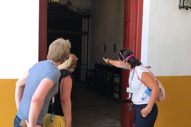 Seville Bullring: Guided Tour with Direct Entry - Museum stops, paintings, costumes, and what you should look for