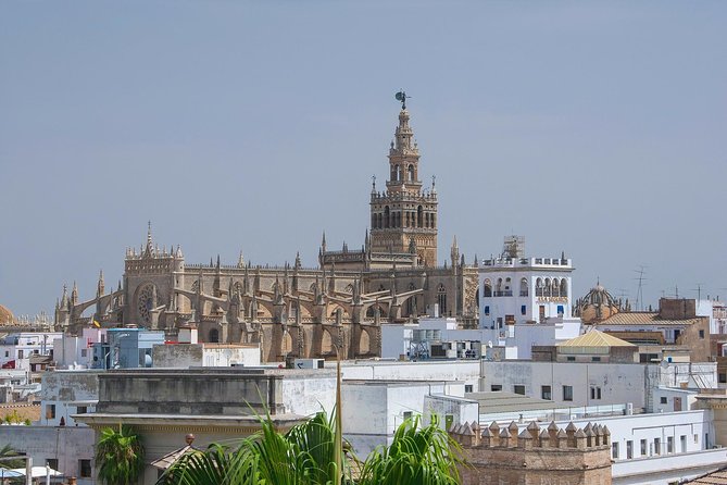 Seville Cathedral and Giralda Tower Guided Tour - Price check: is $70 worth it?