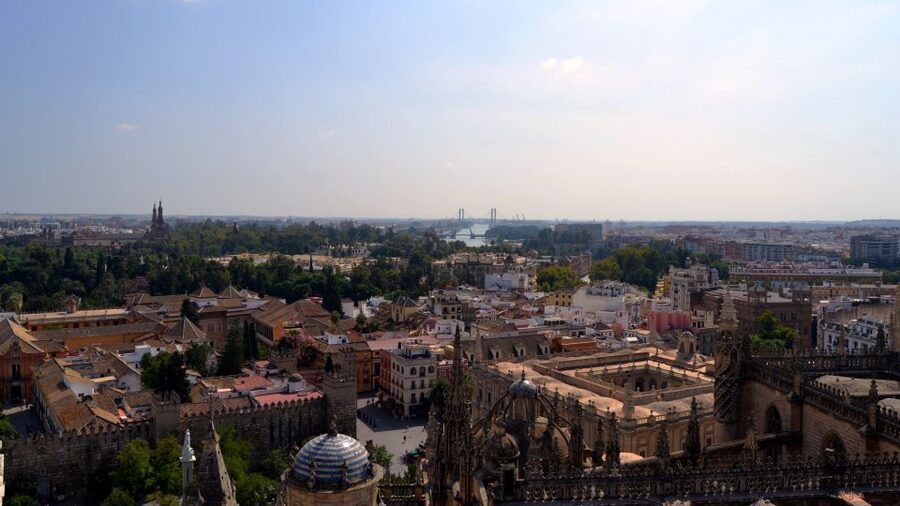 Seville Cathedral and Giralda Tower Guided Tour and Tickets - Who should book this tour, and who might prefer a different plan?