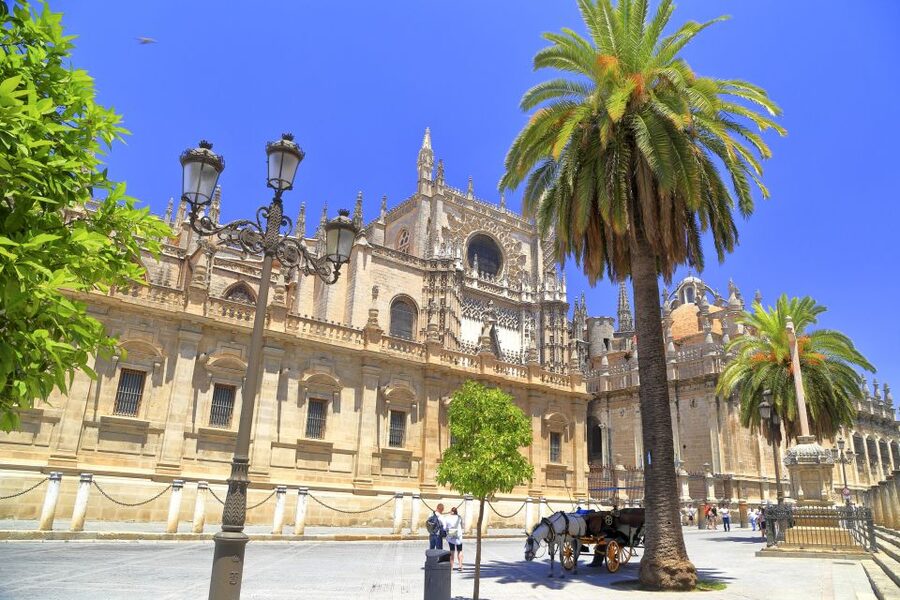 Seville: Cathedral, Giralda & Alcazar Entry With Guided Tour - Meeting at Av. de la Constitución and getting inside fast